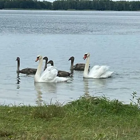 Mazury Przyjazny Dom W Leleszkach Z Goraca Balia Дом отдыха Leleszki