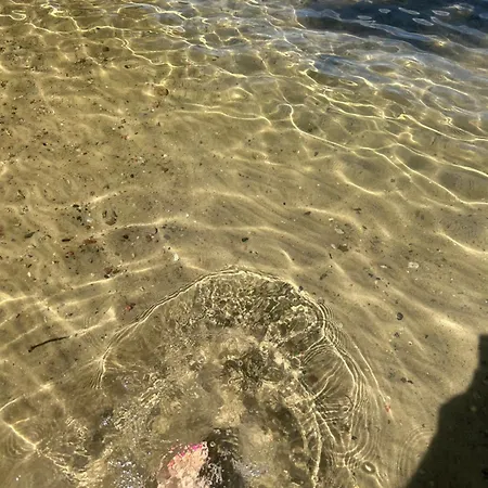 Mazury Przyjazny Dom W Leleszkach Z Goraca Balia 別荘